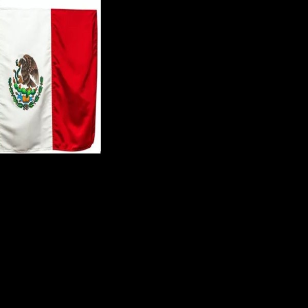 BANDERA TELA 5 48CM LARGO PZA